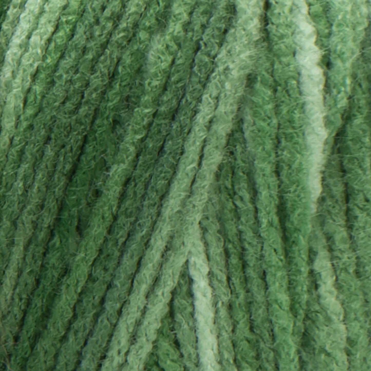 Red Heart Super Saver Yarn Skein - Green Tones 5oz