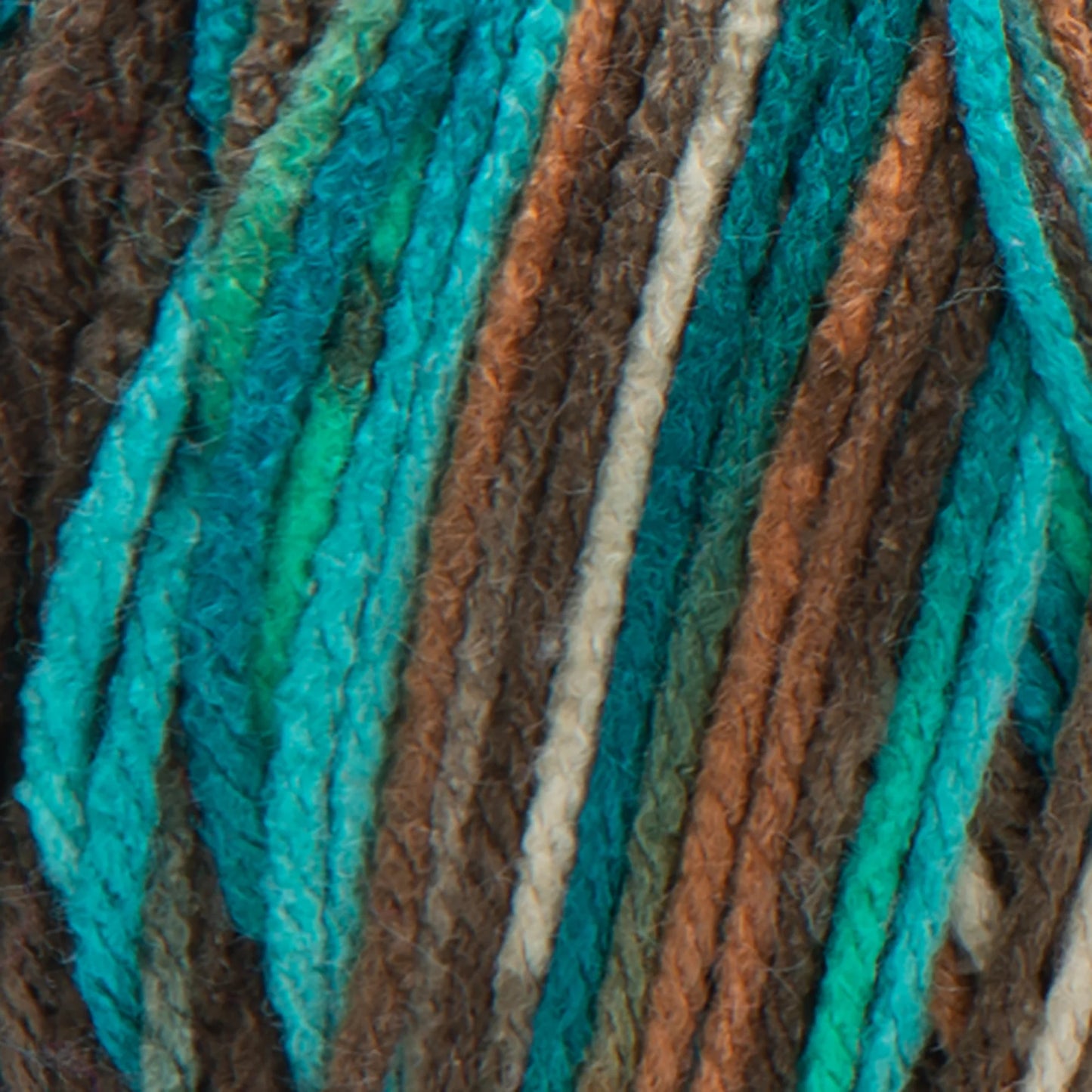 Red Heart Super Saver Yarn Skein - Reef 5oz