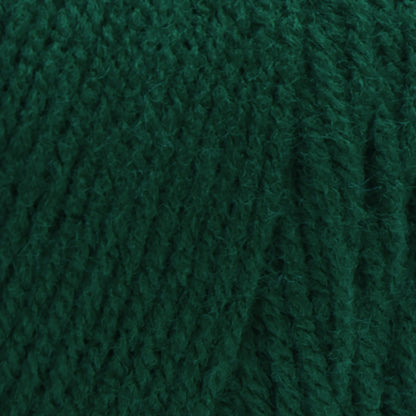 Red Heart Super Saver Yarn Skein - Paddy Green 7 oz