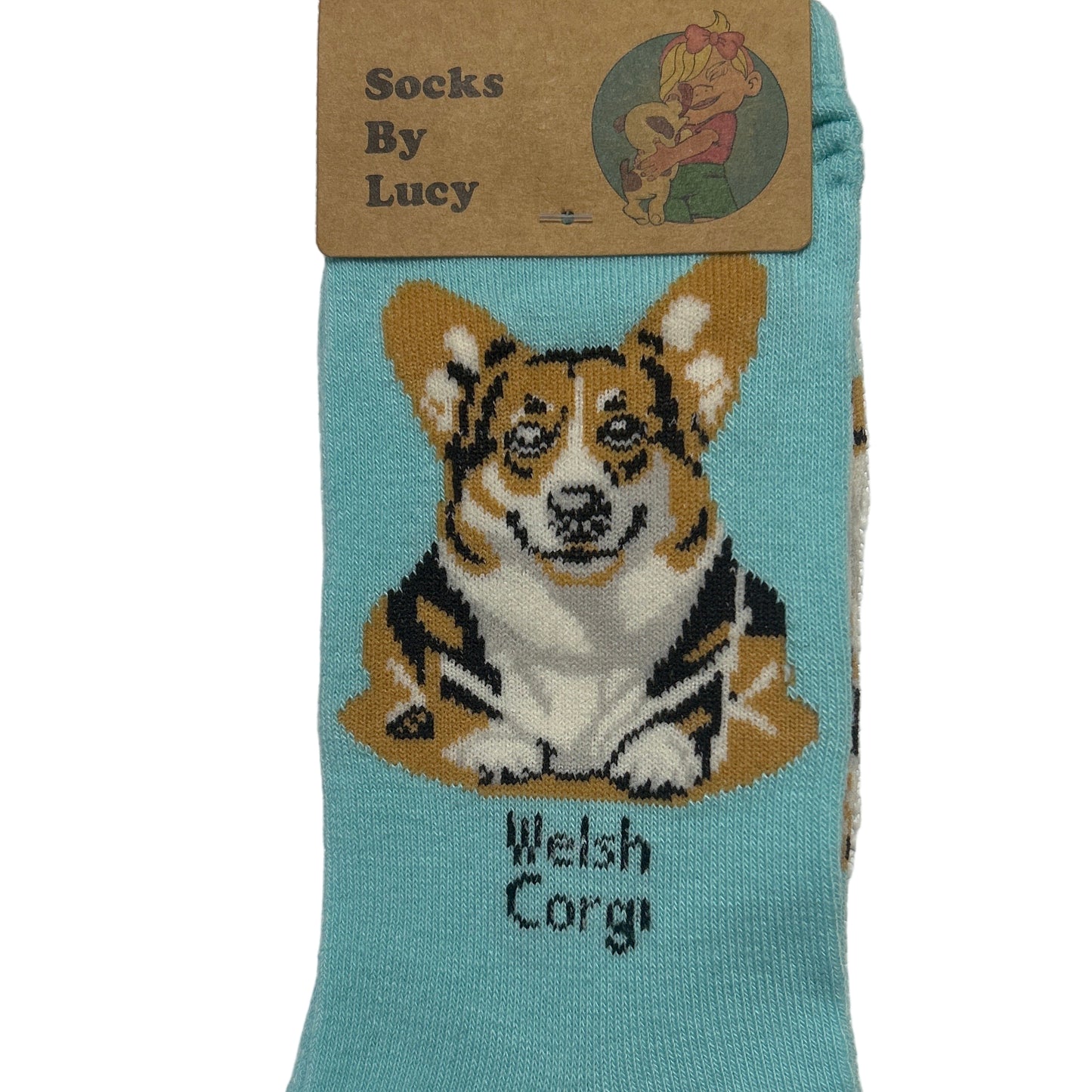 Teal sock with Welsh Corgi design on a textured surface