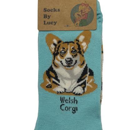 Teal sock with Welsh Corgi design on a textured surface