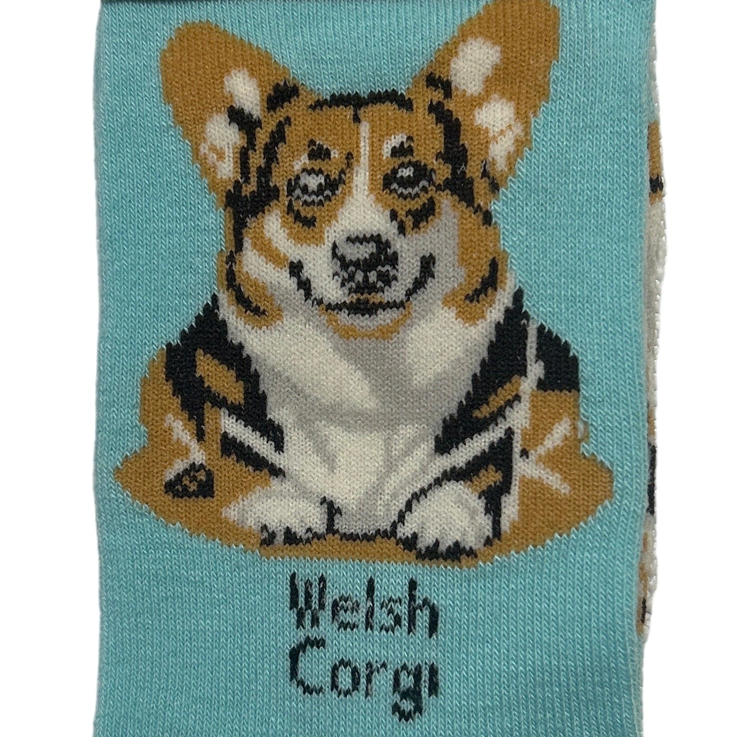 Teal sock with a Welsh Corgi design and 'Socks By Lucy' branding.