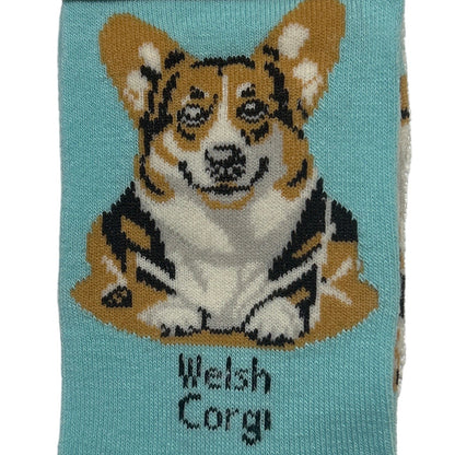 Teal sock with a Welsh Corgi design and 'Socks By Lucy' branding.