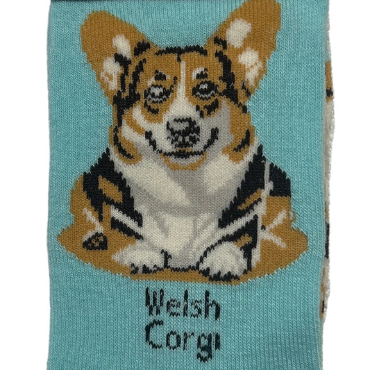 Teal sock with a Welsh Corgi design and 'Socks By Lucy' branding.