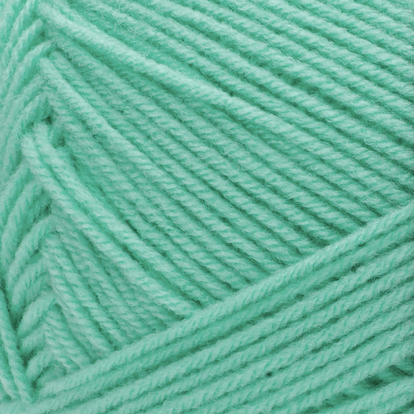 Red Heart Comfort Yarn Skein - Mint 16oz