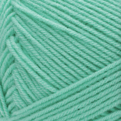 Red Heart Comfort Yarn Skein - Mint 16oz