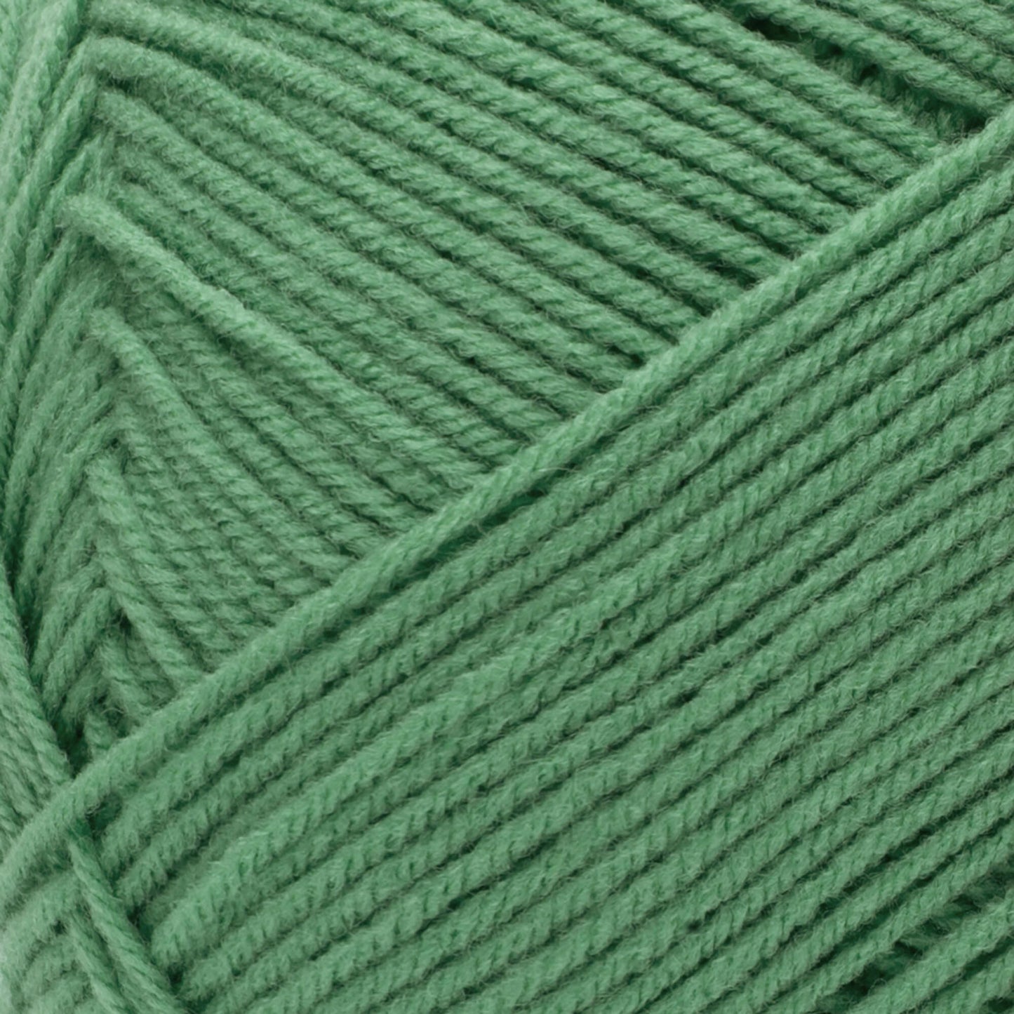 Red Heart Comfort Yarn Skein - Green Pea 16oz