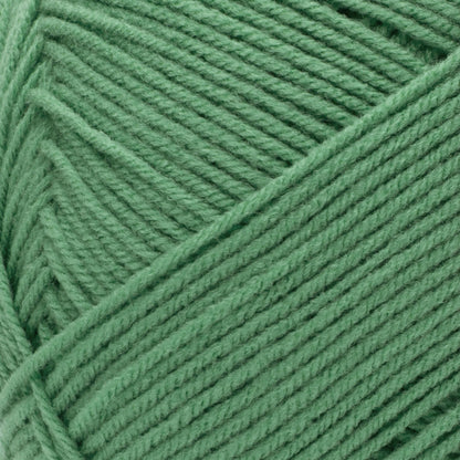 Red Heart Comfort Yarn Skein - Green Pea 16oz