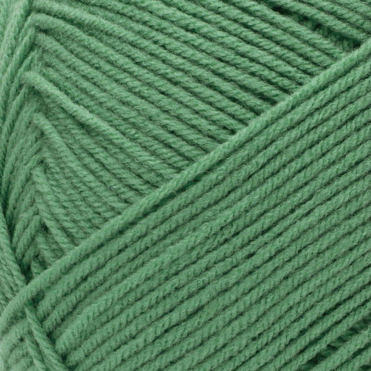 Red Heart Comfort Yarn Skein - Green Pea 16oz