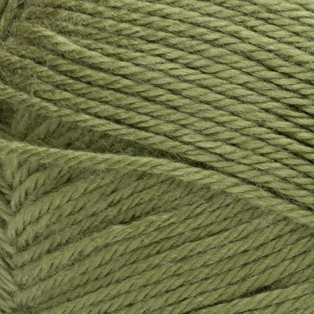 Red Heart Soft Yarn - Leaf