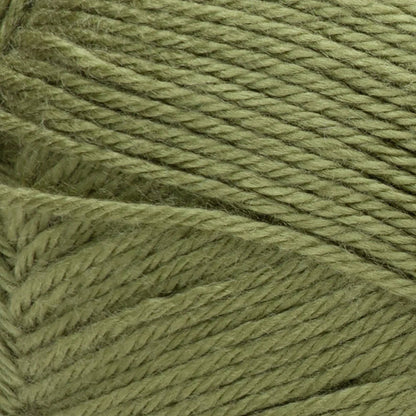 Red Heart Soft Yarn - Leaf