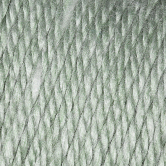 Caron Simply Soft Heathers Yarn - Woodland Heather