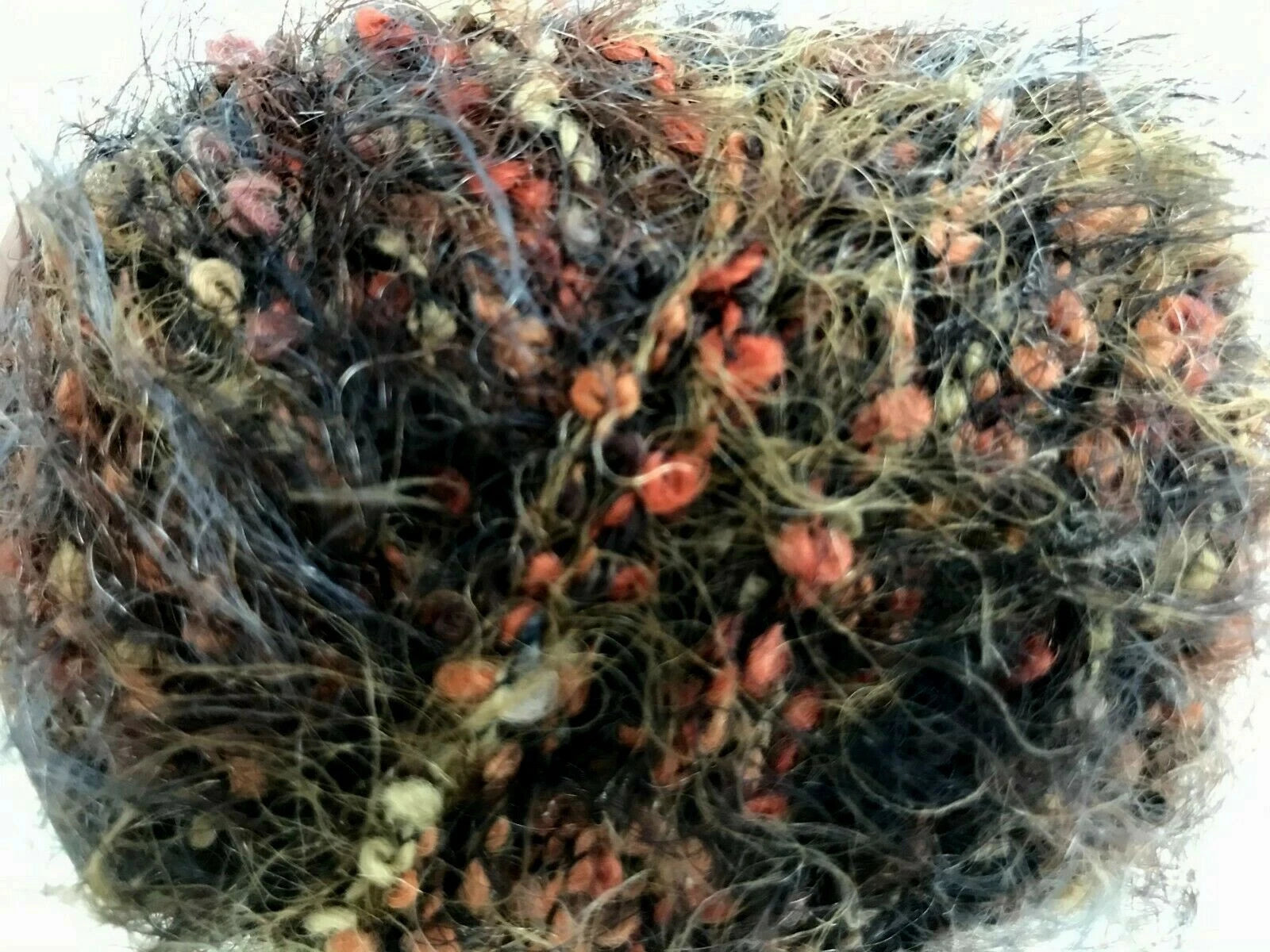 Moss with red berries on a white background