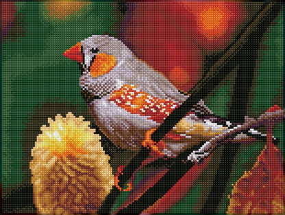 Gouldian Finch (Square) - Diamond Dotz Art Kit - 16.4” x 12.2”