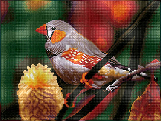 Gouldian Finch (Square) - Diamond Dotz Art Kit - 16.4” x 12.2”