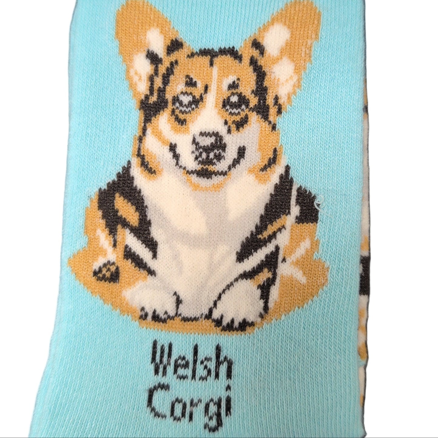 Sock with a Welsh Corgi design and 'Socks By Lucy' branding on a light blue background