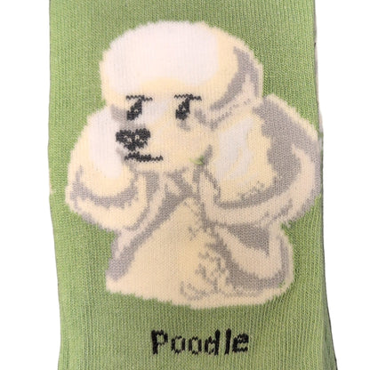 Sock with poodle design and 'Socks By Lucy' label on a green background