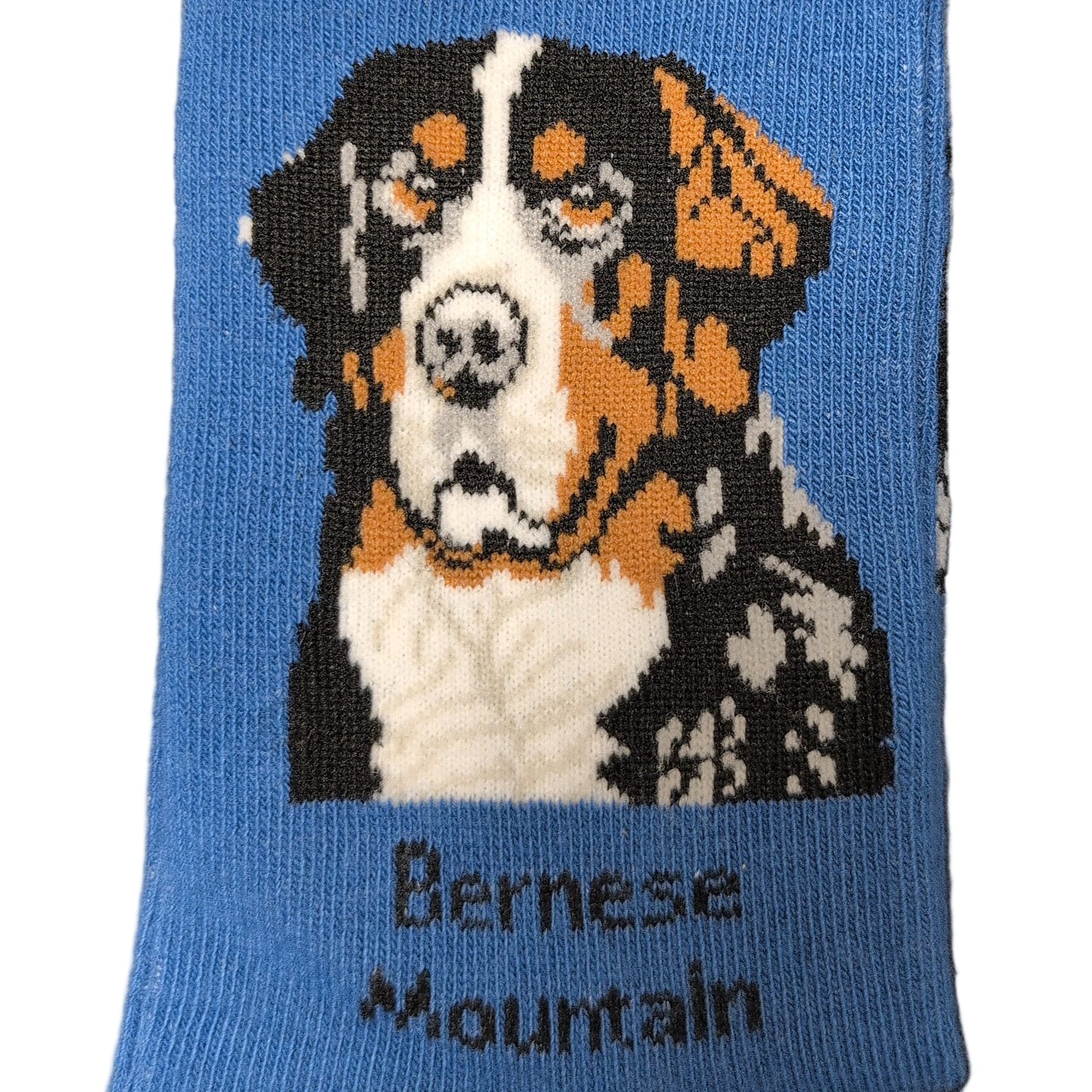 Blue sock with a cat design on a dark surface