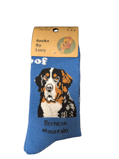 Blue sock with Bernese Mountain dog design and 'Socks By Lucy' packaging on a white background
