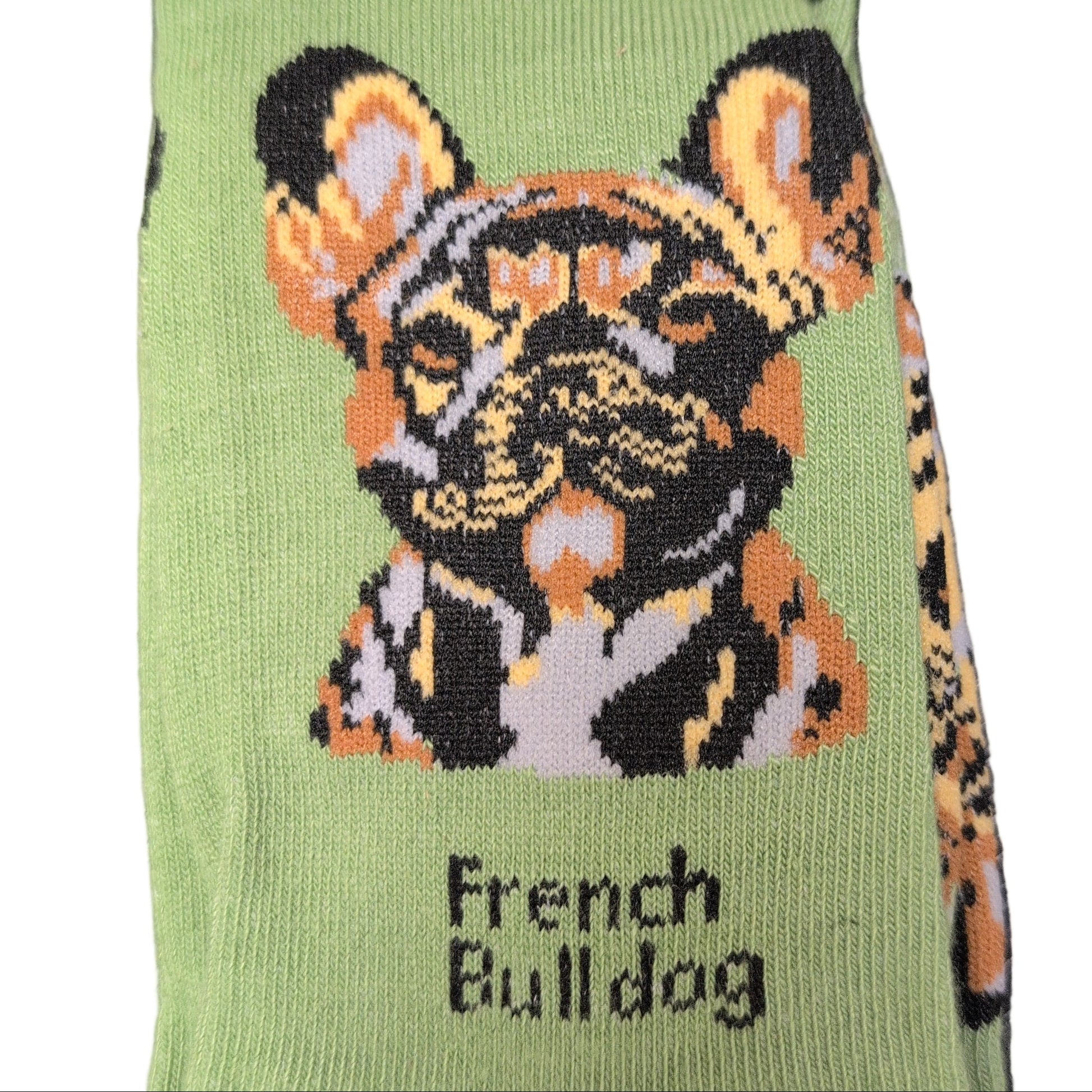 Sock with a French Bulldog design and 'Socks By Lucy' branding on a green background