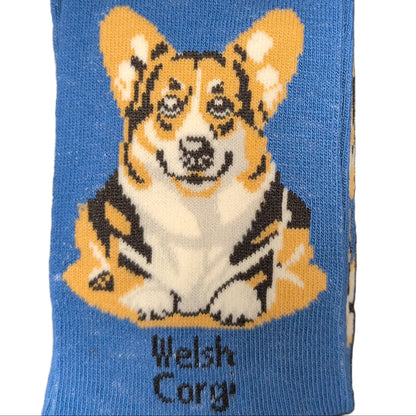 Sock with a Welsh Corgi design and 'Socks By Lucy' packaging on a white background