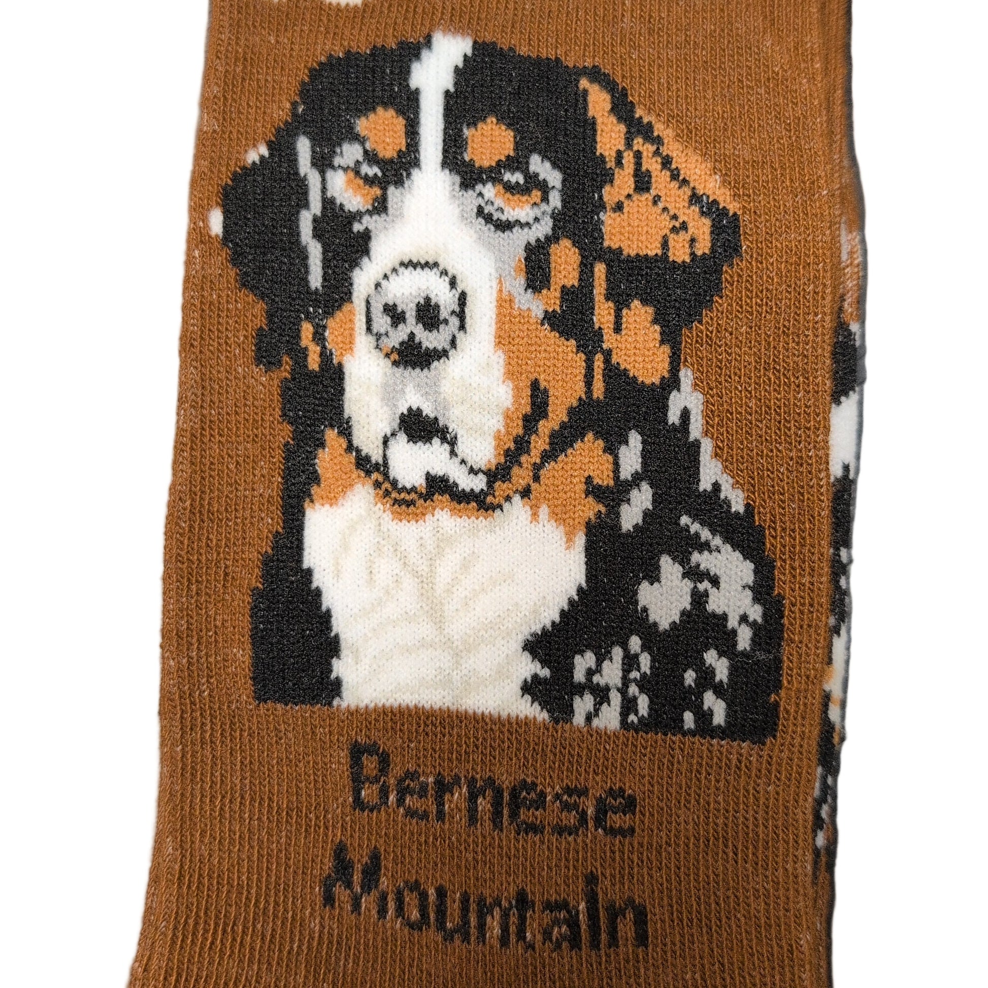 Sock with Bernese Mountain dog design and packaging on a dark surface