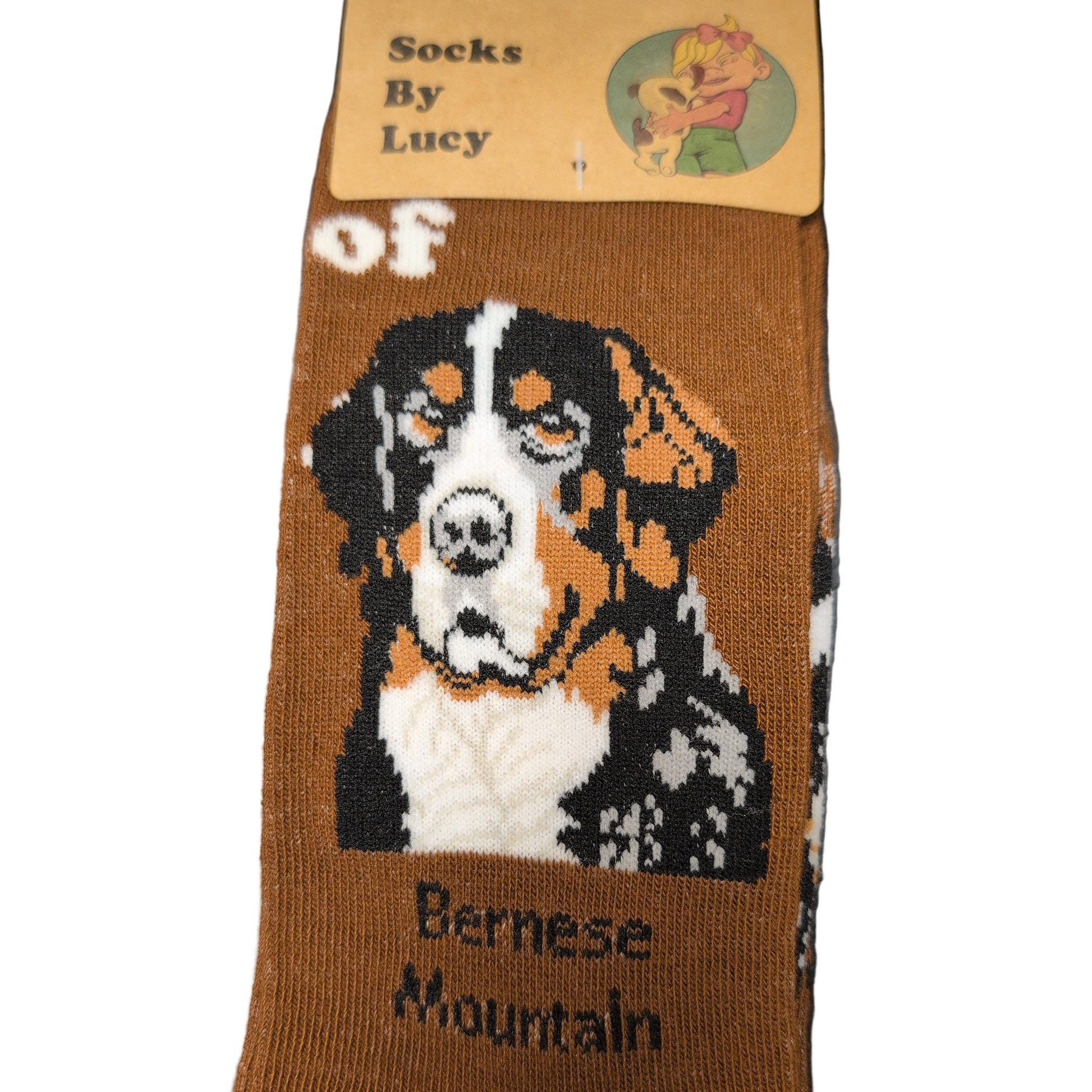 Brown sock with Bernese Mountain dog design and 'Socks By Lucy' packaging.