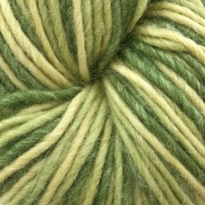 Green and beige skein of yarn with a visible brand label.