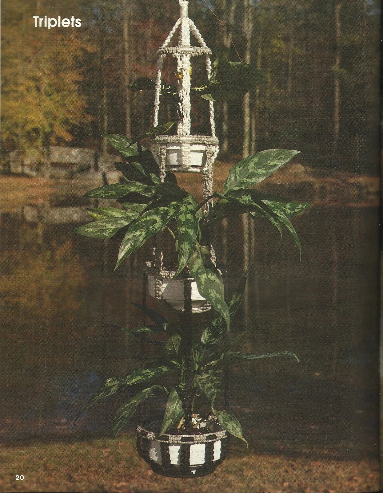 A New Look For Plant Hangers - Claire Lavin Pattern Instruction #8303