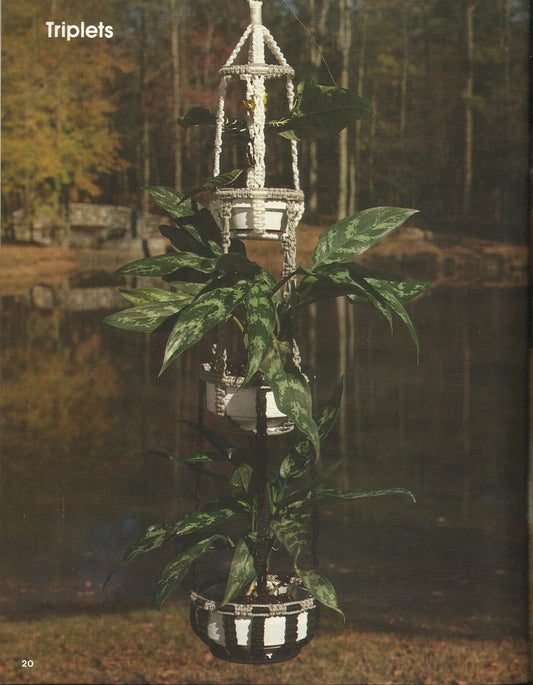 A New Look For Plant Hangers - Claire Lavin Pattern Instruction #8303