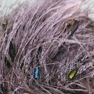 Close-up of a bird's nest with small birds and insects.