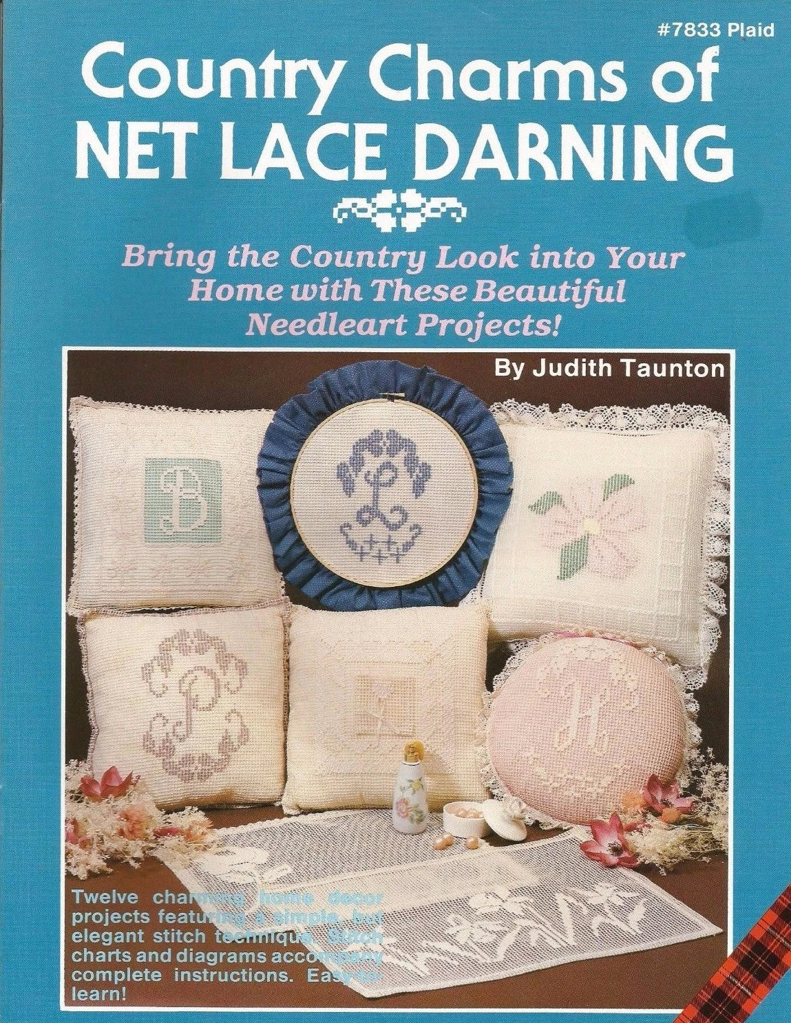 Country Charms of Net Lace Darning Embroidery Chart Patterns Judith Taunton
