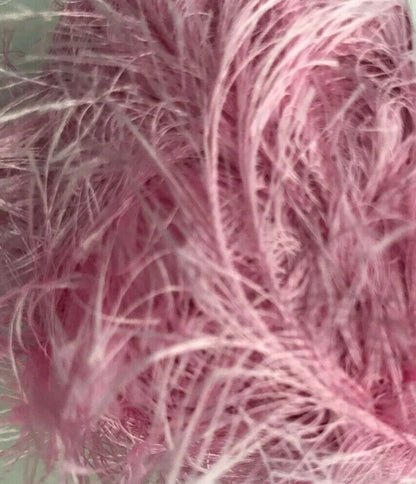 Close-up of pink decorative feathers with a blurred background